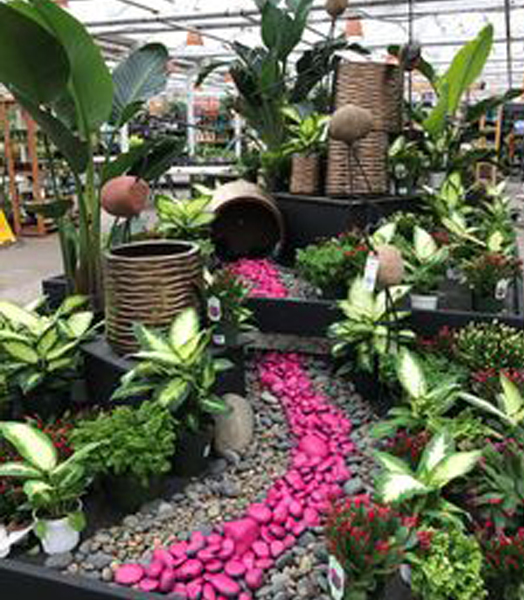 Residential Services