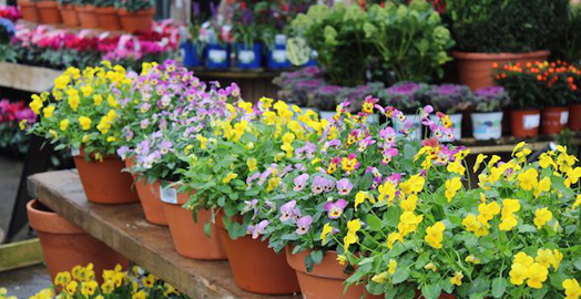 Residential Services