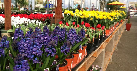 Residential Services