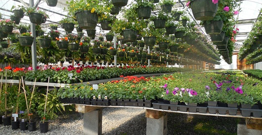 Residential Services