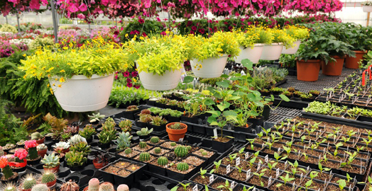 Residential Services