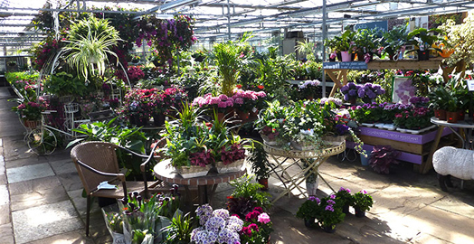 Residential Services