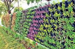 Bharat Landscape Pvt. Ltd - Commercial Project