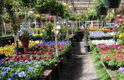 Bharat Landscape Pvt. Ltd - Commercial Project