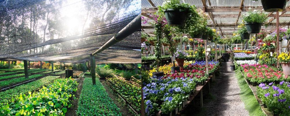 Bharat Landscape - Green Belt on Highway Development