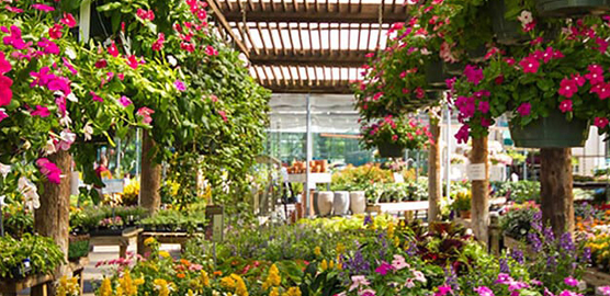 Landscape Design and Installation