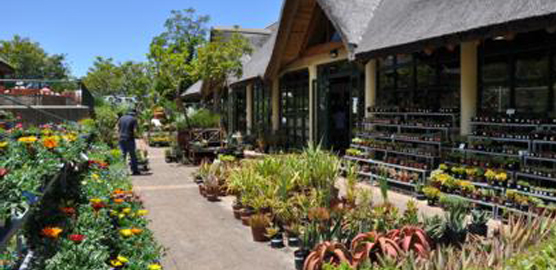 Bharat Landscape - Factory & Pt