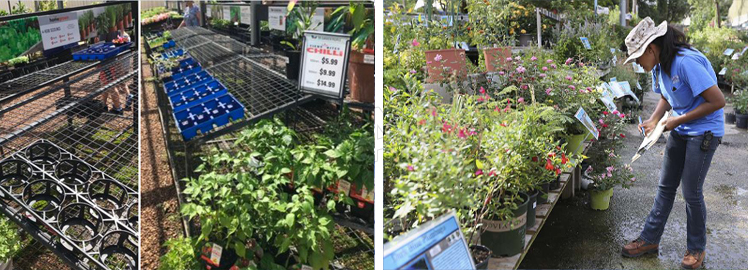 Bharat Landscape - Farm House