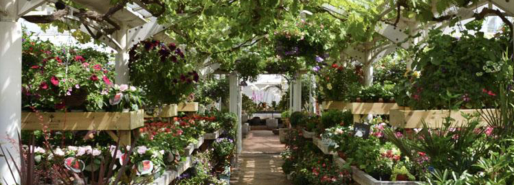 Bharat Landscape - Institutional Garden