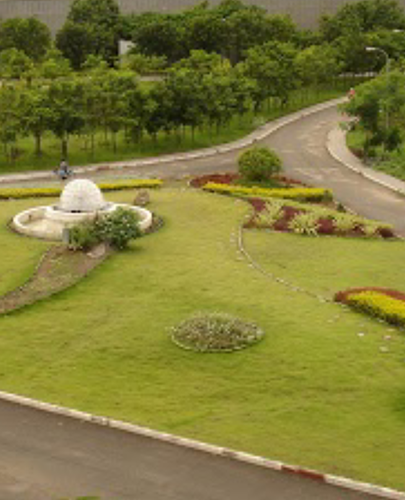 Commercial Maintenance