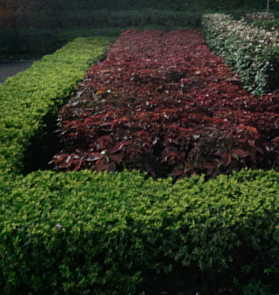 Commercial Maintenance