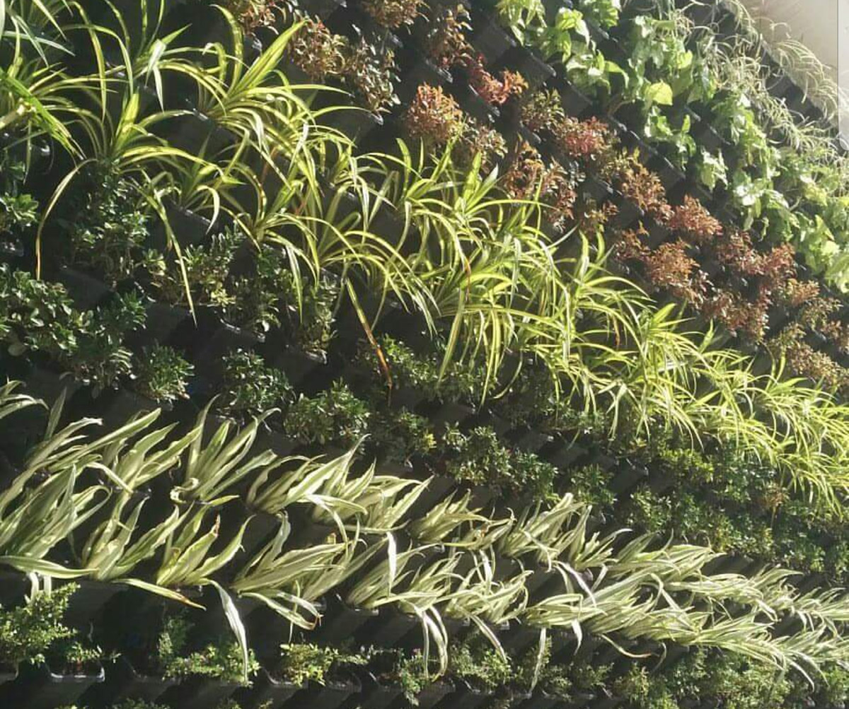 Residential Services