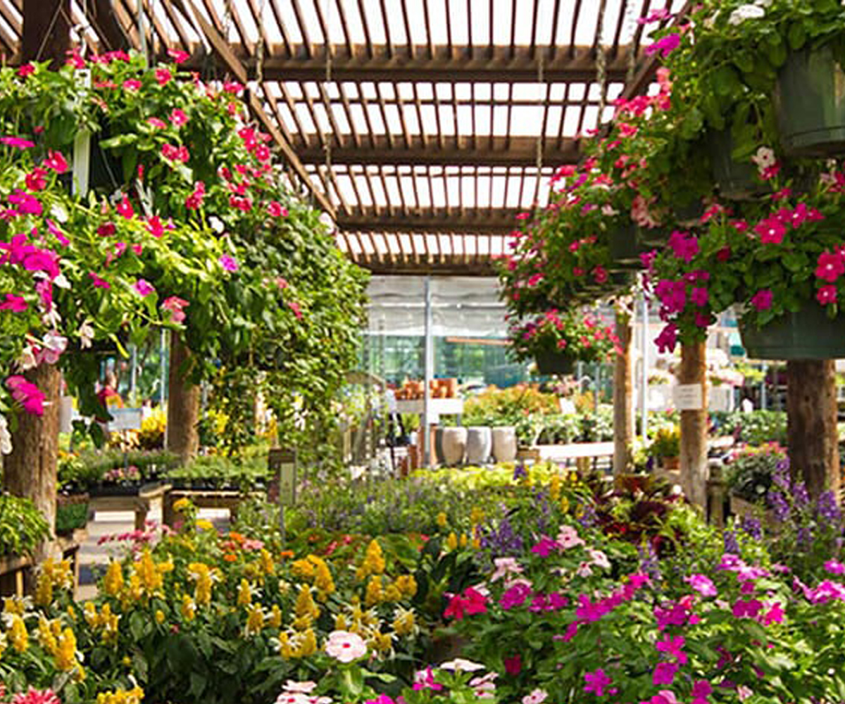 Residential Services