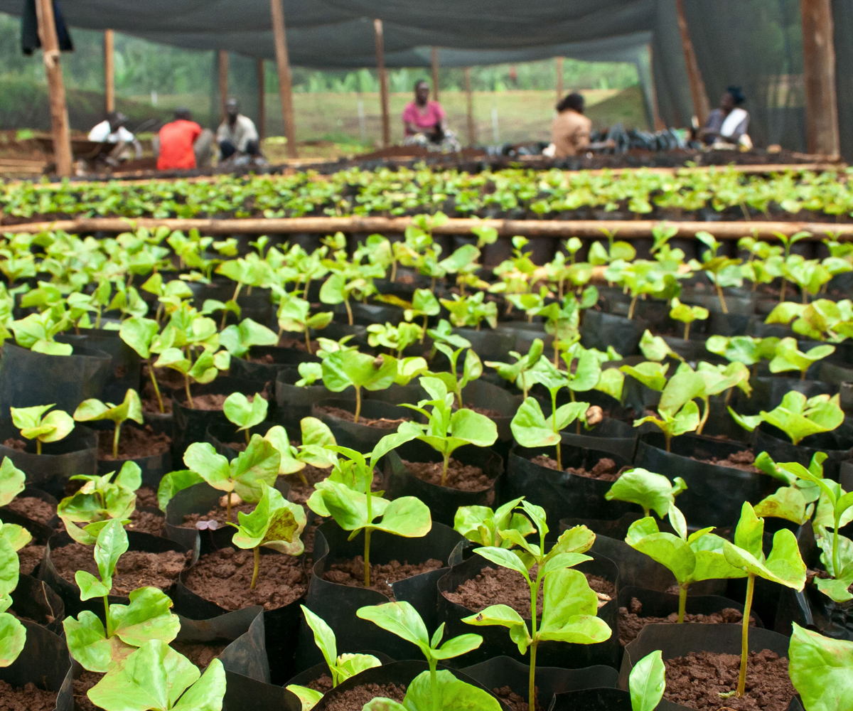 Residential Services