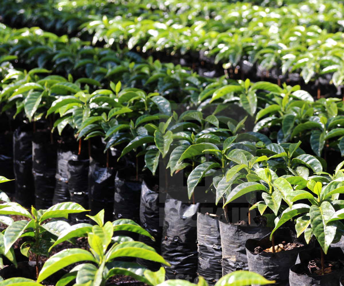 Residential Services