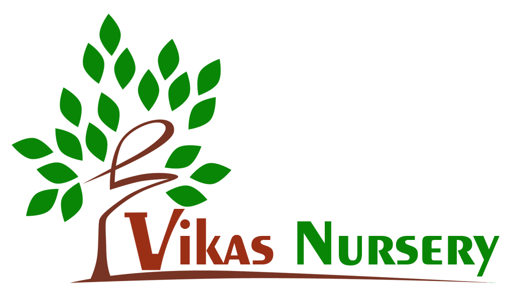 vikasnursery.in